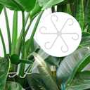 2 x 4pcs Plastic Plant Stem Holders, Climbing Houseplant Stem Supports Flower Plant Stakes Trellis Stem Hook Plants Climbing Rack Plant Growth Accessories for Indoor Home Garden (Transparent)