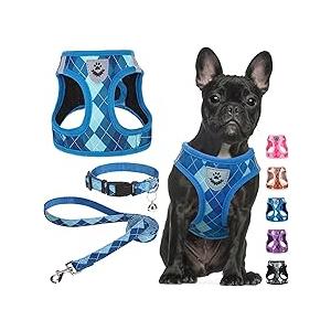 SCENEREAL Small Dog Harness and Leash Collar Set, Step in No Pull Soft Mesh Dog Harnesses for Small Medium Sized Dogs Puppy and Cats Outdoor Walking, No Chock Reflective Vest Harness, Blue Plaid M
