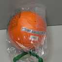 Doggie Dooley Virtually Indestructible Dog Ball - 6 Inch Hard Plastic Interactive Dog Toy for Large Breeds Over 15-50 lbs - Built for Herding & Push Play -Floats in Water, Made in USA