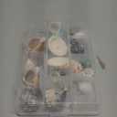 JOR Hermit Crab Shells, A Must for New Starter Habitats, Shelter for Crustaceans, Terrarium Decoration, Growth Turbo Seashells in Various Shapes and Sizes.