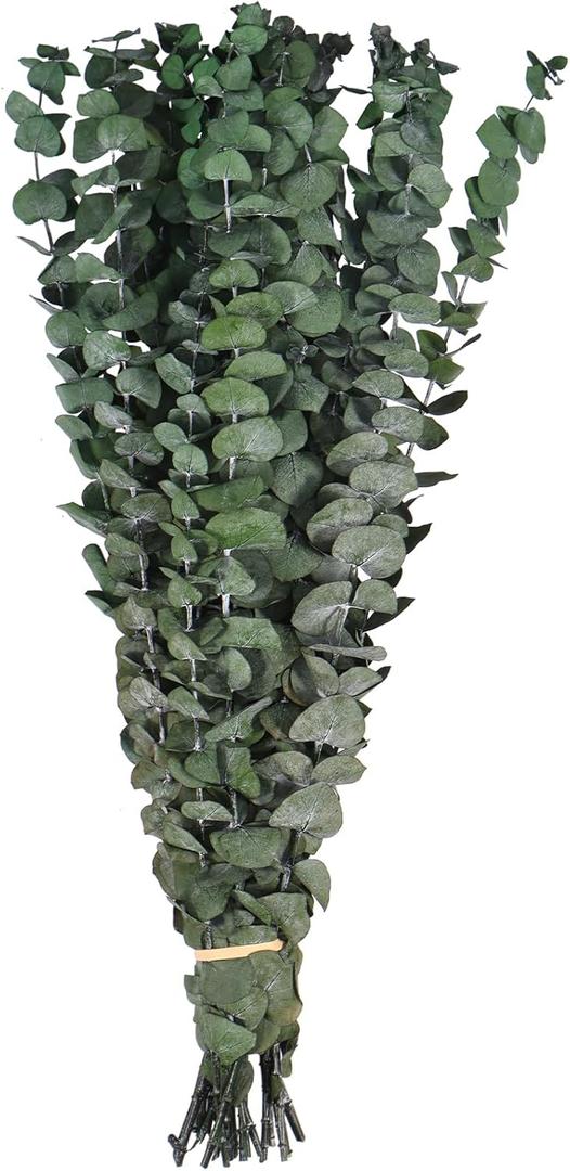 Dried Eucalyptus for Shower Bundle,16.5" Hanging Eucalyptus Lavender Bouquet,100% Real Eucalyptus Leaves Branches for Vase Filler, DIY Artificial Plant,Dried Flowers Arrangement Home Decor (Style 1)