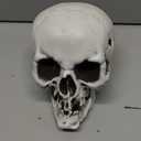 MOKRY PARTY Human Skull Skeleton Life Size for Halloween Skull Model 1:1 Replica Plastic Skull Head Graveyard Outdoor Decor