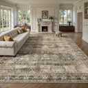 8x10 Area Rugs for Living Room - Washable Vintage Retro Large Rug, Soft Ultra Thin Non Slip Low Pile Traditional Distressed Boho Carpet for Bedroom Dining Room Home Office, Charcoal Olive