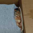 Washable Area Rugs 6'x9' Non-Slip Modern Abstract Soft for Living Room Entryway Bedroom Nursery, Print Pattern, Green Orange Rust Red Cream Colorful