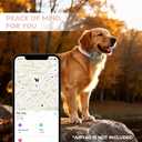 Premium Leather AirTag Dog Collar, 100% Waterproof & Reflective Dog Collar with AirTag Holder Compatible with Apple Air Tag | Durable, Comfortable Padded GPS Dog CollarsPink-L