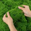 Geytetqi 35 OZ Artificial Moss for Potted Plants, Premium Green Fake Moss for Crafts, Indoor and Outdoor Planters, DIY Decor and Fairy Gardens