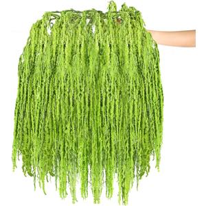 24 Pcs Green Spring Natural Dried Amaranthus Hanging Flowers Amaranthus Artificial Flowers for Wedding Arch Bouquet Floral Garland Wall Home Decoration (23 Inch)