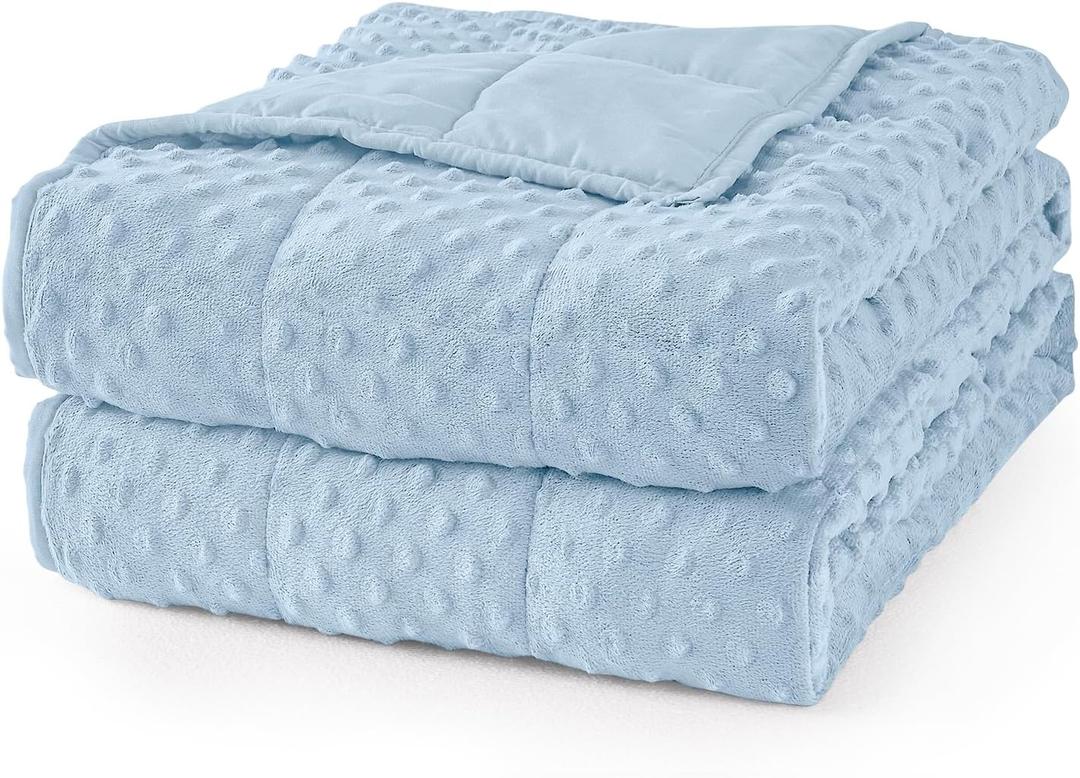 Mr. Sandman Weighted Blanket for Adults Queen Size 15 lbs, Soft Cooling Heavy Minky Blanket for Sleep, Washable Throw Blanket with Glass Beads, 60 x 80 Inches, Light Blue