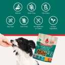 2 x Plato Pet Treats Air Dried Small Bites Dog Treats, Natural Bite Sized Real Meat & Duck, Grain Free & High Protein, Made in the USA, 6oz (6 Ounce (Pack of 1))