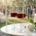 Ciaell 12 Pack Clear Plastic Wine Glasses - 10 Oz Disposable Wine Glasses with Stem for Parties & Weddings & Poolside & Outdoors & Camping