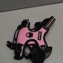 rabbitgoo Dog Harness No Pull with 2 Leash Clips, Adjustable Soft Padded, Reflective Oxford No Choke Pet Vest with Easy Control Handle for Large Dogs, Pink, L