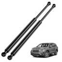 ARANA Rear Hatch Struts for Honda Pilot 2009-2015, Trunk Liftgate Shocks Lift Support for Honda Pilot with Power Tailgate(Not Fit for Honda Pilot Tour), Replaces OEM SG226029, 2 Pcs