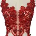 Handmade Rhinestones Lace Appliques Sew on Glass Beads Bodice Trim Patches Accessory for Dress Clothes (Red)