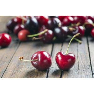Prepworks by Progressive by Progressive Cherry-It Cherry Pitter