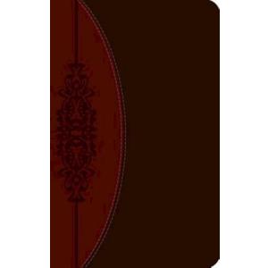 The CEB Wesley Study Bible, Paperback