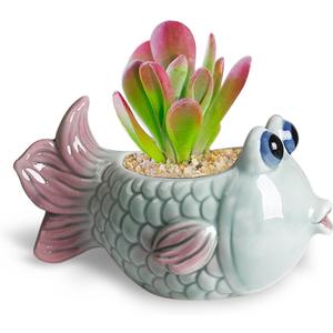 DIYOMR Tropical Fish Ceramic Planter, 5.8 Small Flower Pot Decoration Desktop Windowsill Decor,Indoor Outdoor Succulent Cactus Pot for Plant Lover (Green)