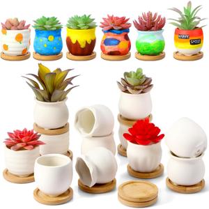 Remerry 12 Pcs 2.5 Inch Mini Succulent Pots with Bamboo Tray White Ceramic Pots Color Your Own DIY Small Planters Containers for Flower Cactus with Drainage Hole for Plant Lover