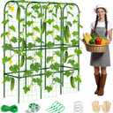 62in Tall Cucumber Trellis for Raised Bed, 51" L x 62" H Metal Garden Trellis for Climbing Plants Outdoor, U-Shape Vegetables Trellis Support for Squash Zucchini Peas Grape