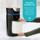 Homedics TotalClean 3-in-1 HEPA-Type Air Purifier Filter Replacement, Works with Homedics AP-T20, AP-T20WT and AP-T22 Air Purifiers, Captures Microscopic Airborne Particles