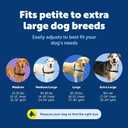 PetSafe Easy Walk No-Pull Dog Harness - Ultimate Harness to Help Stop Pulling - Pull-Free Walks - Take Control & Teach Better Leash Manners - Patented Martingale Loop Design - Fawn, Medium