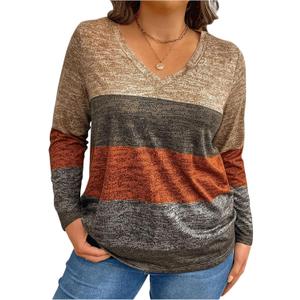 Milumia Women's Plus Size Color Block Long Sleeve Tee Top V Neck T Shirt Multicolor 2XL