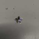 MECCANIXITY 50g Glitter Flower Loose Sequins, 10mm Silver Tone