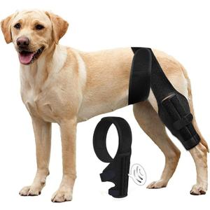 Medium Dog Leg Braces for Back Leg