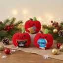 Henoyso 3 Pcs Christmas Teacher Gifts, Crochet with Card, Handmade Crochet Knitting Thank You Gift for Christmas Xmas Home Table Decorations Ornament