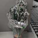 2FT Artificial Christmas Tree with Lights Green Tabletop Christmas Tree with Wooden Stand Lighted Battery Operated Snow Flocked Mini Xmas Pine Tree for Indoor Outdoor Holiday Home Decoration