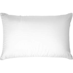 Touch of Down Pillow Queen Found in Holiday Inn Express by IHG Hotels Set of 2, White
