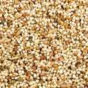 Wild Harvest Daily Blend Nutrition Diet for Parakeet, Canary and Finch 10 Pounds, Orange flavour (EXP 09/30/26)