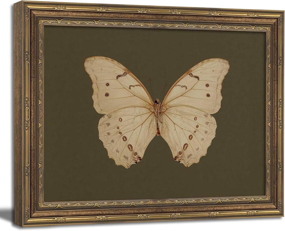 Vintage Gold Framed Wall Art Classical White Butterfly Wall Art Small Moody Insect Green Wall Decor Picture Antique Cottagecore Moth Gallery Aesthetic Poster Print for Living Room Bedroom 12x16in