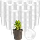 Yaomiao 200 Pcs 2 Inch Clear Mini Plastic Plant Pot Nursery Seedling Pots Seed Starter with Drainage Holes for Indoor Outdoor Garden Succulent Plants Cuttings Transplanting