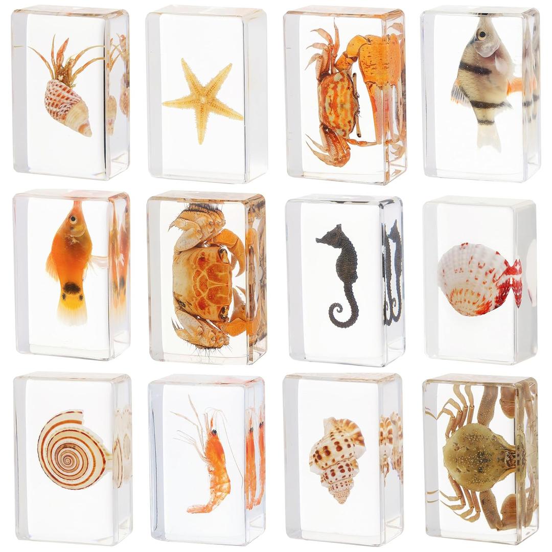 12 Pcs Real Ocean Animal & Insect Specimens in Resin - Educational Science Display Collection with 12 Unique Styles - Perfect for School Projects, Bug Collectors & Home Decor