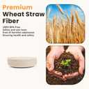 Homienly Small Plates Set of 8, Wheat Straw Plates, 5.7 Inch Lightweight Unbreakable MIni Dessert Plate, Microwave and Dishwasher Safe Small Plate Set - Beige