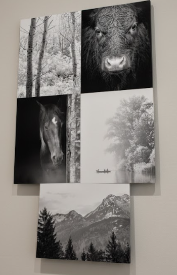 Wall Art Kit Frame Home (5pack) 11x14