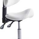Saddle Stool Chair Rolling with Back Esthetician Chair for Nail Tech Dental Tattoo Artist Eyelash Hairdresser Hairstylist Medical Shop Ergonomic Stool Adjustable Hydraulic White
