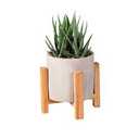 Bambeco Succulent without Wood Stand, 16 in