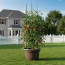 G-LEAF 6 Pack 5ft Tomato Cage for Garden Plant Support, Garden Stakes Tomato Cage, Tomato Cages Plant Stakes for Climbing Plants