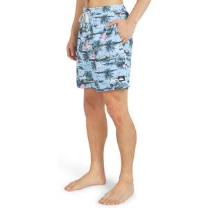 Quiksilver mens Swimwear Regular Fit Stretchable Comfort Liner Swim Trunks (Pack of 1), Large 