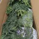 Juegoal 4FT Pre-Lit Artificial Christmas Tree 2 Pack, Norfolk Potted Tree
