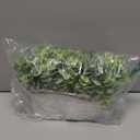 Dahey Fake Eucalyptus Plants Indoor for Farmhouse Home Decor Artificial Faux Plants in Rustic Rectangular Pots Table Centerpiece for Bathroom Office Living Room Shelf Laundry Decor, 7" L x 4" H, White