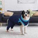 LelePet Dog Recovery Suit for Rear Legs to Stop Licking Hind Legs Abdomen Wounds, Dog Onesie for Surgery Female Male,Dog Pants to Prevent Licking for Small to Large Dogs, Cone Alternative (XS-3XL) (Navy Blue)