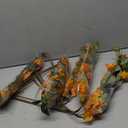 10PCS Bougainvillea Artificial 29.5" Orange Fake Flowers Silk Bougainvillea Vines Faux Bougainvillea Flower Stems Bougainvillea Branches for Home Garden DIY Decor Wedding Centerpieces (Orange)
