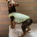 YQYS Dog Shirts Multi-Color Striped Cotton Vest for Small Dogs and Cats Puppy Clothes Teacup Dog Clothing Tank Top for Chihuahua Miniature Pinscher Green Large
