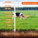 25 Pack Electric Fence Posts,48 Inch/4FT Step-in Plastic Posts for Farm and Garden,Temporary Sturdy Fencing System for Electric Fencing and Yard Protection, White