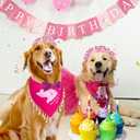 Dog Birthday Party Supplies Set - Happy Birthday Banner, Bandana, Bow Tie, Hairband, Tutu Skirt - Complete Decorations for Your Pup's Celebration(Pink)