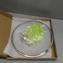 Antrader Tempered Glass Lid,10" Glass Covers for Pots,Pans and Skillets,1Set,Clear