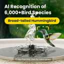 Birdfy Smart Bird Bath with Camera Solar Powered & Solar Fountain & Stand, Dual-Lens Camera for Bird Watching in Phone, Auto Capture Bird Videos, Ideal Present for Bird Lover (AI by Subscription)