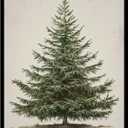 Generic Vintage Christmas Tree Print, Rustic Winter Tree Art, 11x14 inch + Black Framed